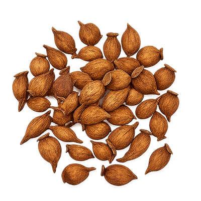 Cherokee Rose Fruit