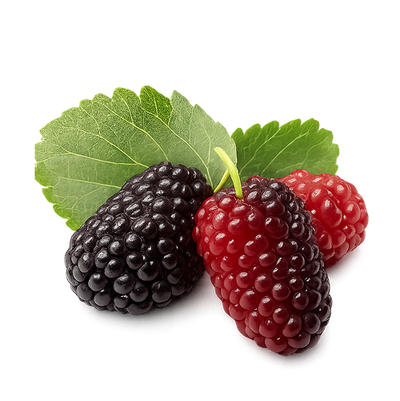 Mulberry Fruit