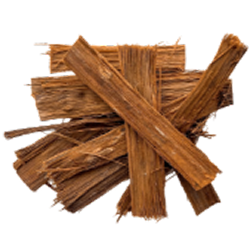 Cat’s Claw Extract