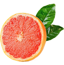 Grapefruit Extract