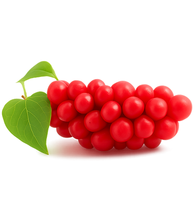 Schizandra