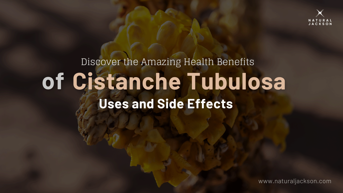 Cistanche Benefits and Side Effects