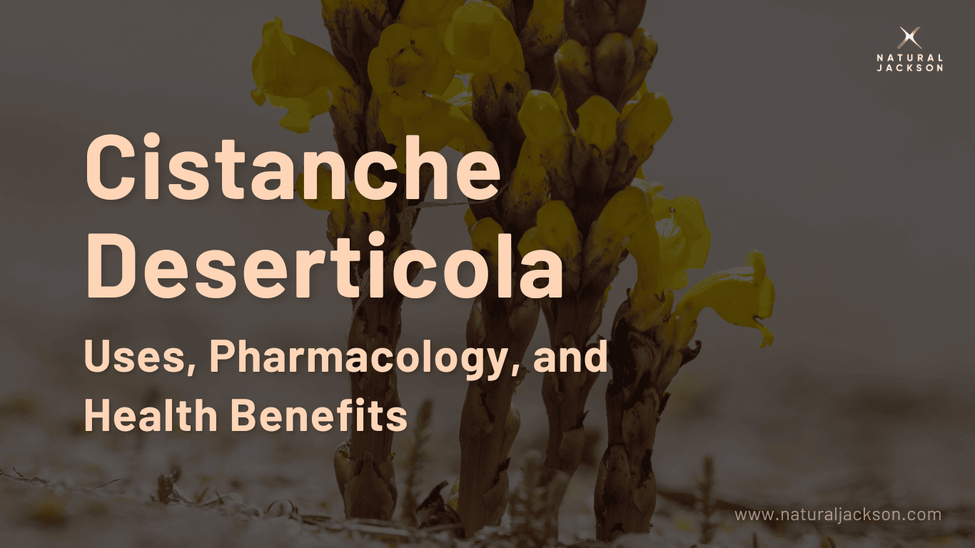 Cistanche Deserticola: A Potent Tonic Herb for Vitality and Health Benefits