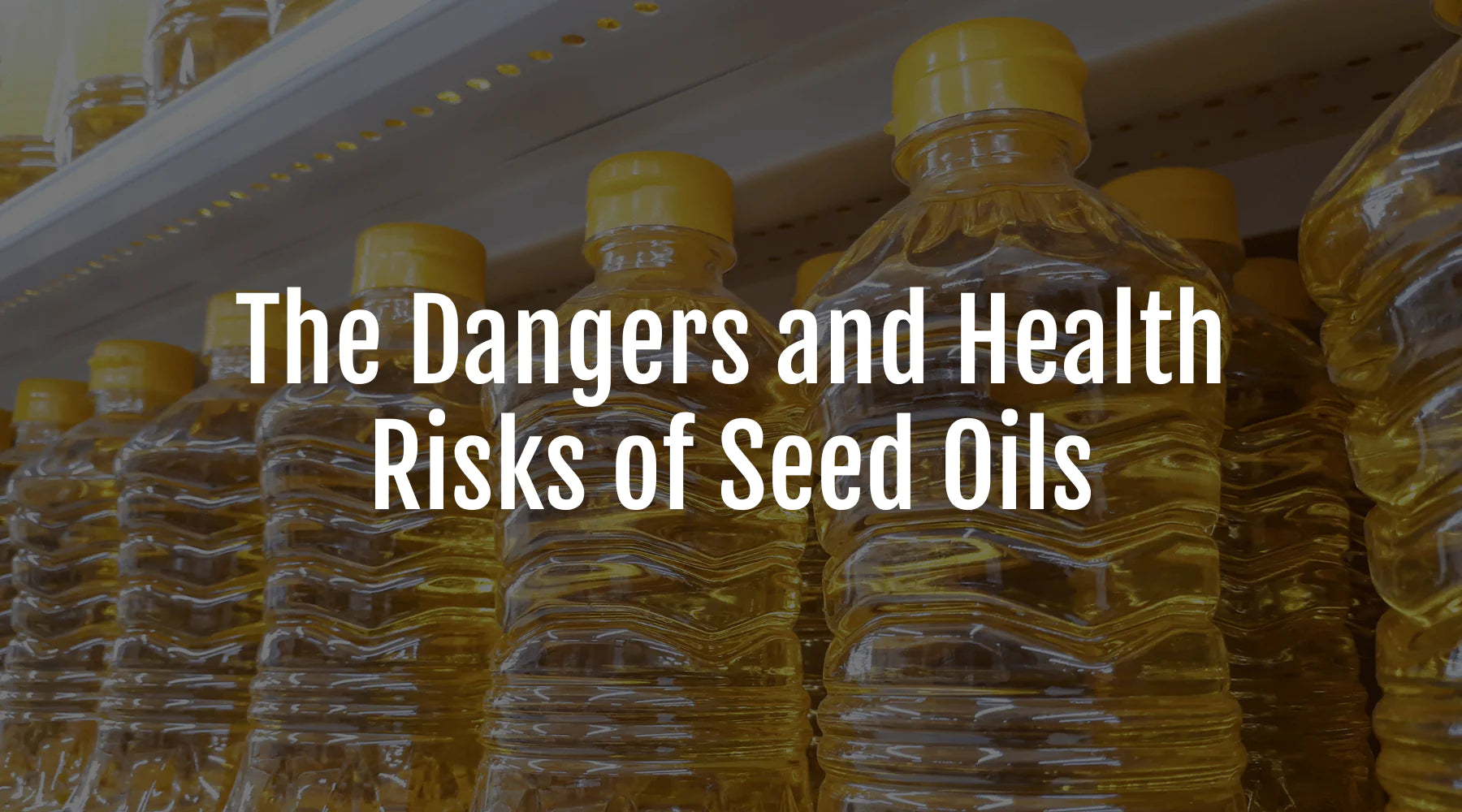 Dangers and Health Risks of Seed Oils