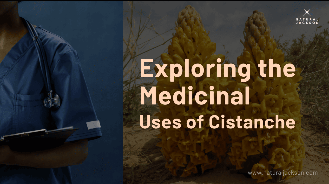 Exploring the Medicinal Uses of Cistanche