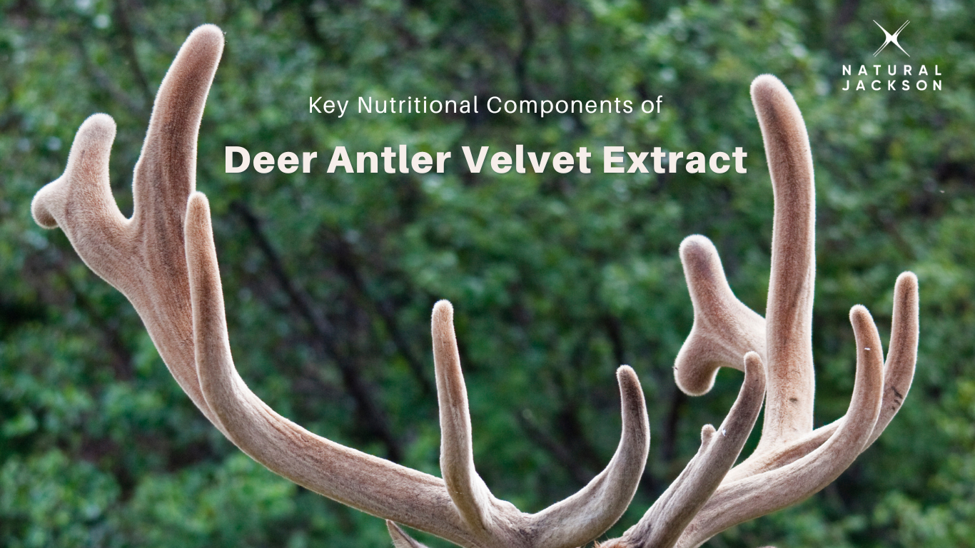 Health Effects Of Deer Antler Velvet Extract