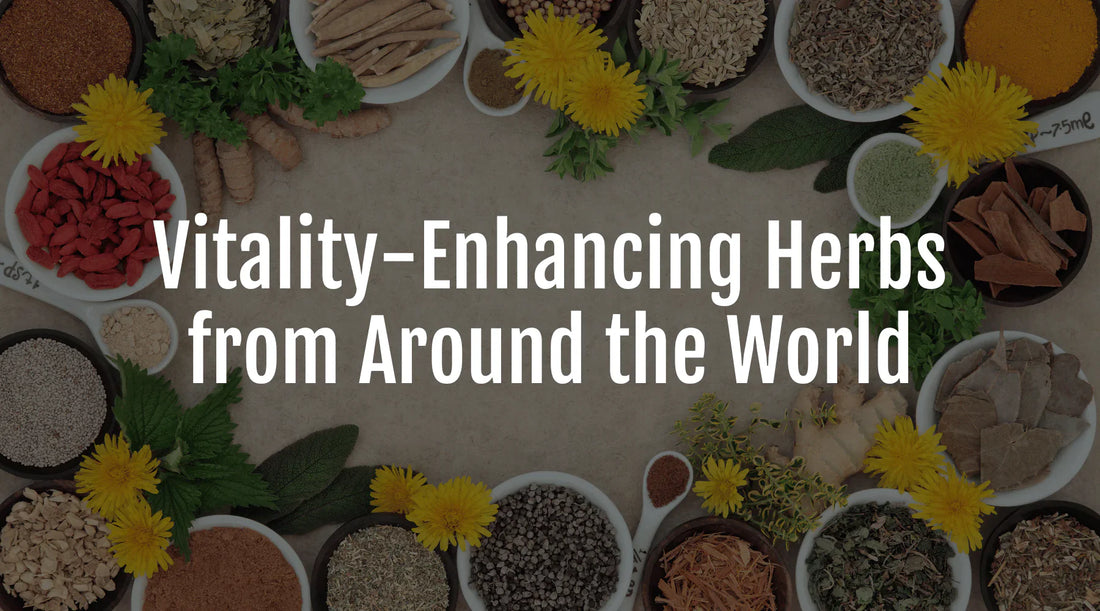 Ancient Wisdom Revealed: Vitality-Enhancing Herbs From Around The World