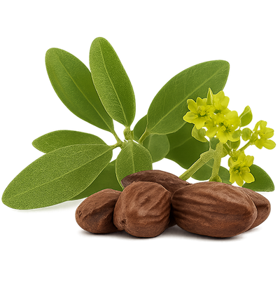 Jojoba Oil